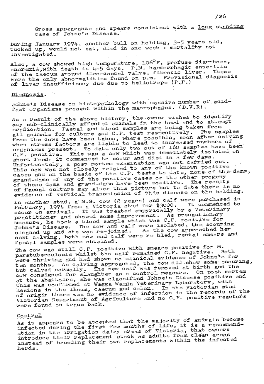 1975 page 26